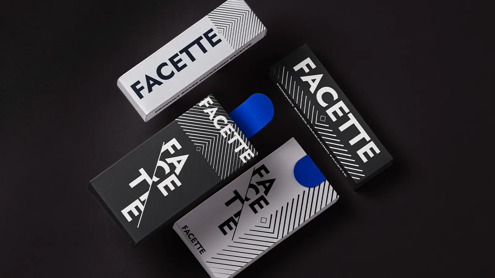 FACETTE_04